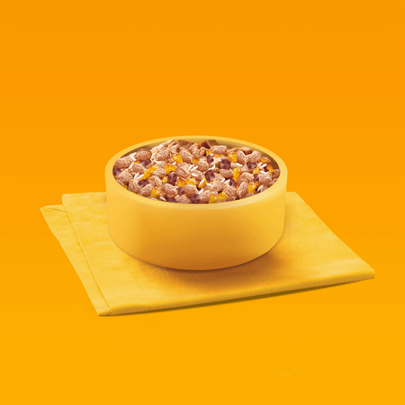 Pedigree Junior Wybór Smaków 120x100g Mokra Karma Dla Szczeniąt Wołowina Kurczak Jagnięcina Ryż W Galaretce