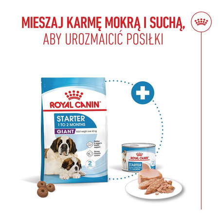 Royal Canin Giant Starter Mother & Babydog 15kg Karma Sucha Dla Suk W Czasie Ciąży Laktacji I Szczeniąt Ras Olbrzymich