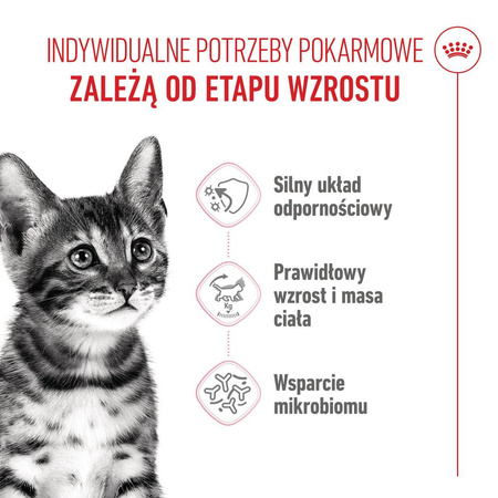 Royal Canin Kitten Sterilised 400g Karma Sucha Dla Kociąt Sterylizowanych Od 4 Do 12 Miesiąca Życia