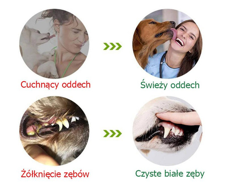 Gryzak, zabawka dentystyczna dla psa, rozmiar M, kolor zółty, szczoteczka do zębów