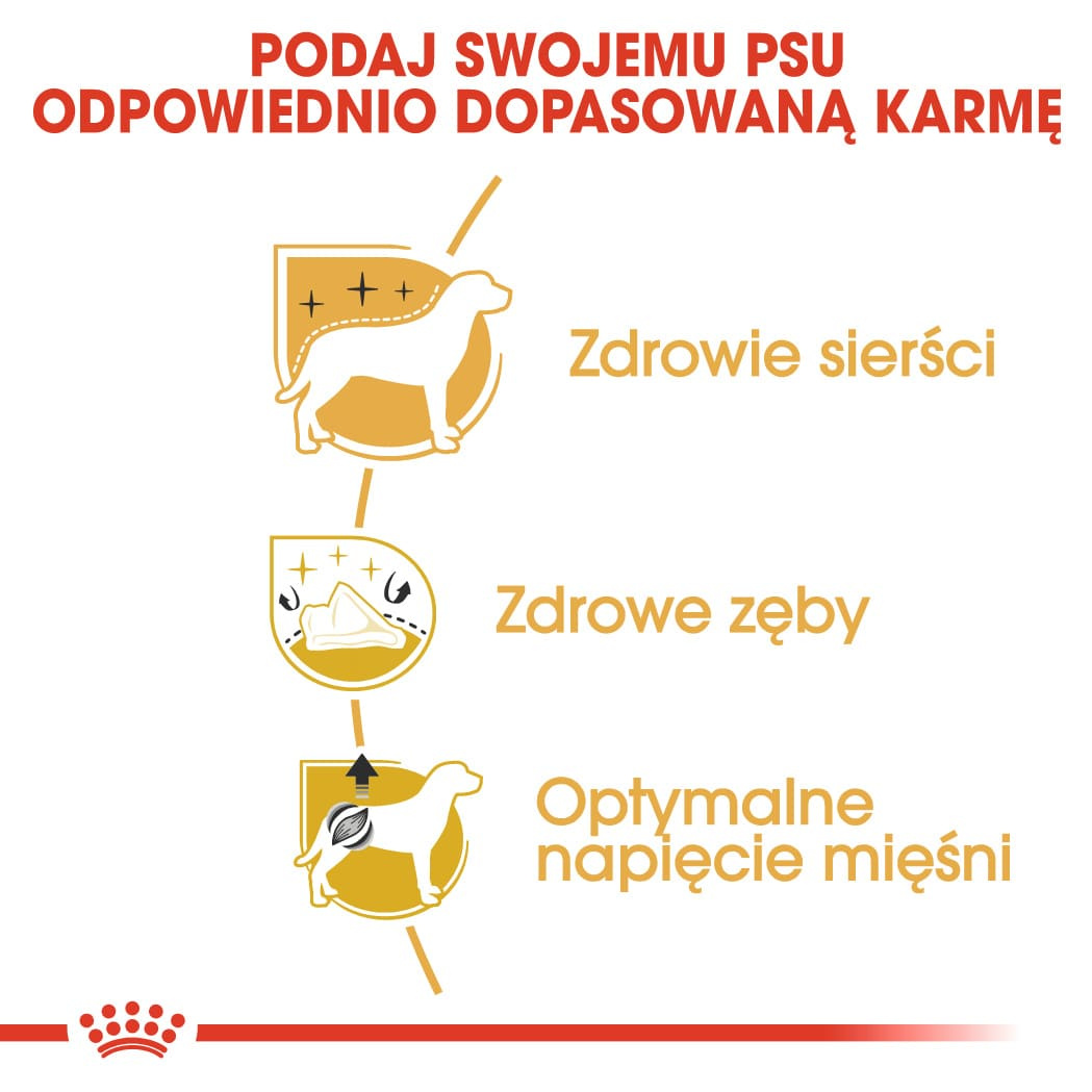 Karma Sucha Dla Psów Dorosłych Rasy Pudel Miniaturowy
