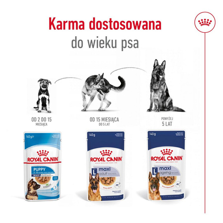 Royal Canin Maxi Adult 140g Karma Mokra W Sosie Dla Psów Dorosłych Ras Dużych