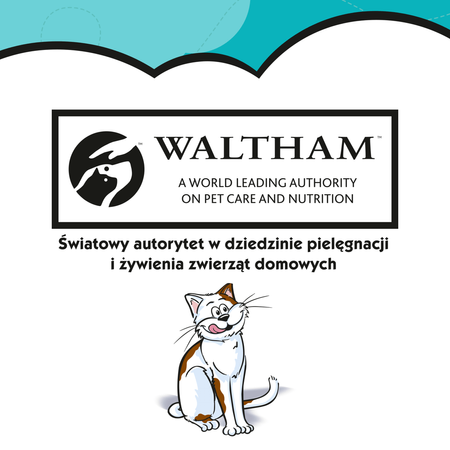 Dreamies z Wybornym Łososiem 6x60g (360g) Przysmaki dla kota