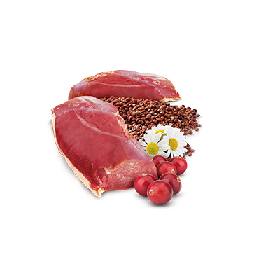 Farmina N&D Cat Quinoa Urinary 6x80g Mokra Karma Dla Kota z Kaczką Wsparcie Zdrowie Dróg Moczowych