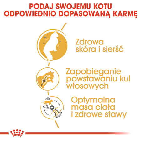 Royal Canin FBN Norvegian Forest Cat Adult 10kg Karma Sucha Dla Kotów Dorosłych Rasy Norweski Leśny