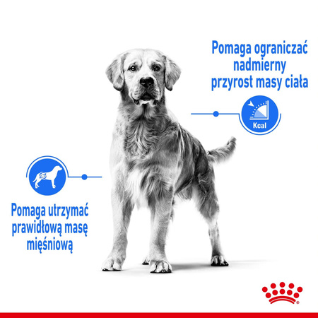 Royal Canin Medium Light Weight Care 3kg Karma Sucha Dla Psów Średnich Ras Z Tendencją Do Nadwagi