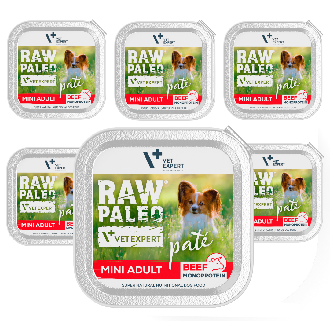 Raw Paleo Mokra Karma Dla Psów Małych Ras z Wołowiną