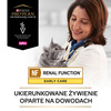Purina Pro Plan Veterinary Diets NF Renal Function Mokra Karma Dla Kota 10x85g Niewydolność Nerek