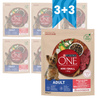Purina One Mini Adult 6x800g Sucha Karma Dla Psów Małych Ras Z Wołowiną I Ryżem