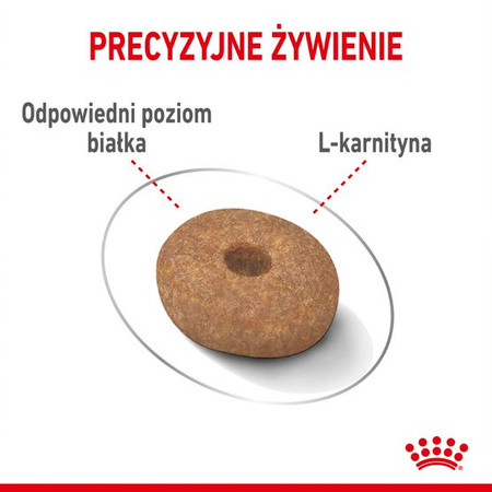 Royal Canin Mini Light Care Karma Sucha 8kg + Pasztet 12x85g Dla Psów Ras Małych Z Tendencją Do Nadwagi