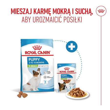 Royal Canin SHN X-Small Puppy 1,5kg Sucha Karma Dla Szczeniąt Ras Miniaturowych Od 2 Do 10 Miesiąca Życia