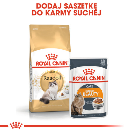 Royal Canin FBN Ragdol Adult 2kg Karma Sucha Dla Kotów Dorosłych Rasy Ragdoll