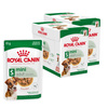 Royal Canin SHN Mini Adult 24x85g Karma Mokra W Sosie Dla Psów Dorosłych Ras Małych