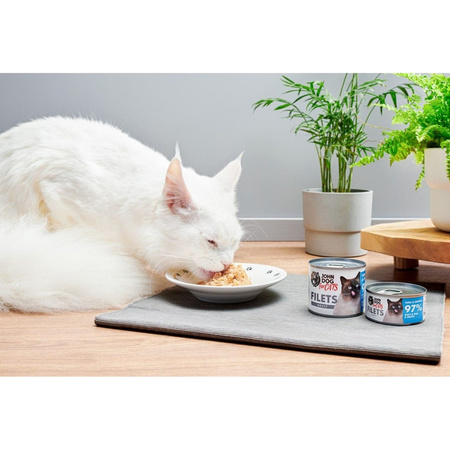 John Dog for Cats Mokra Karma Dla Dorosłych Kotów Tuńczyk Z Kurczakiem 24x70g