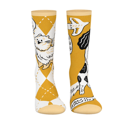 Skarpetki Pedigree Rozmiar 36-38