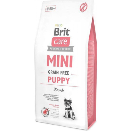 BRIT CARE Sucha Karma Premium Bezzbożowa dla Szczeniąt i Suk w Ciąży 2kg