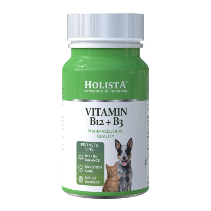 Holista Vitamin B12 + B3