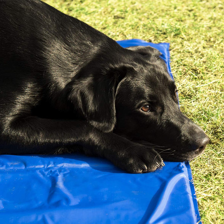 Mata chłodząca na upały dla psa i kota Niebieska, rozmiar XS 40x30 cm