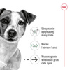 Royal Canin SHN Mini Adult 12+ 1,5kg Karma Sucha Dla Psów Dojrzałych Po 12 Roku Życia Ras Małych