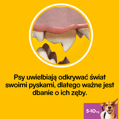 Pedigree DentaStix Gryzak Dentystyczny Dla Psów Małych Ras 4x110g (112 Sztuk)