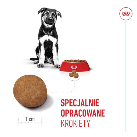 Royal Canin Maxi Puppy 4kg Karma Sucha Dla Szczeniąt Od 2 Do 15 Miesiąca Życia Ras Dużych
