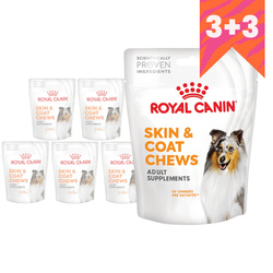 Royal Canin Supplements Dog Skin & Coat Adult 6x240g Przysmak Suplement dla Psa Na Skórę i Sierść 3+3 GRATIS