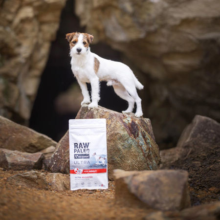 Raw Paleo Ultra Beef Adult Mini 2kg Sucha Karma z Wołowiną Dla Psów Dorosłych Ras Małych