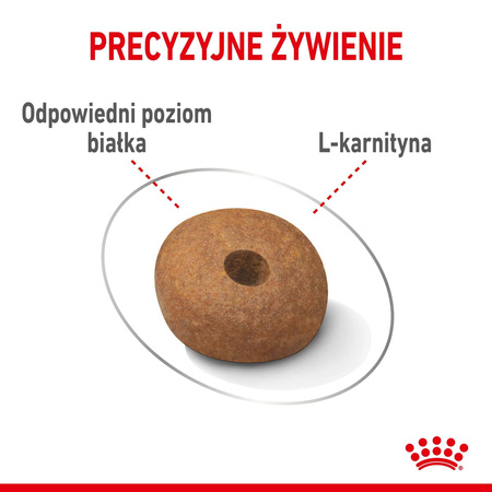 Royal Canin Medium Light Weight Care 3kg Karma Sucha Dla Psów Średnich Ras Z Tendencją Do Nadwagi