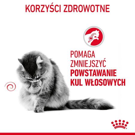 Royal Canin FCN Hairball Care 10kg Karma Sucha Dla Kotów Dorosłych Eliminacja Kul Włosowych