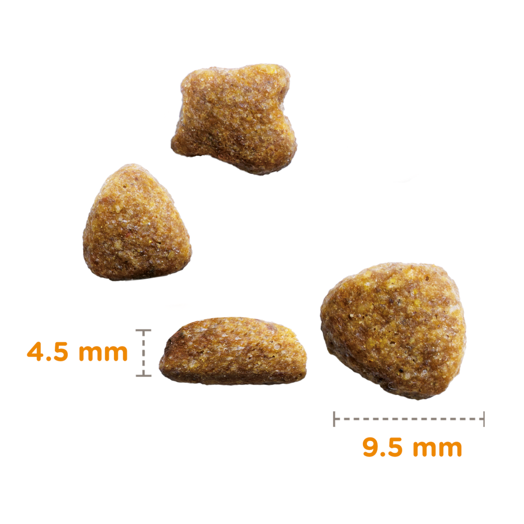 Iams for Vitality Hairball Dla Dorosłych I Starszych Kotów Ze Świeżym Kurczakiem Zwalcza Kule Włosowe
