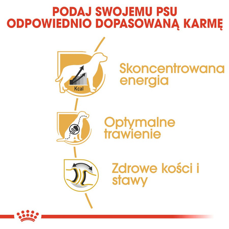 ROYAL CANIN Adult Dog Niemiecki Sucha Karma Dla Psów Dorosłych 12kg
