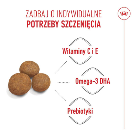 Royal Canin Maxi Puppy 1kg Karma Sucha Dla Szczeniąt Od 2 Do 15 Miesiąca Życia Ras Dużych