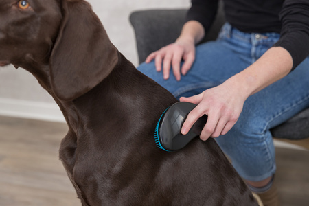 TRIXIE Miękka Szczotka Dla Psa Kota 19cm Niebieska