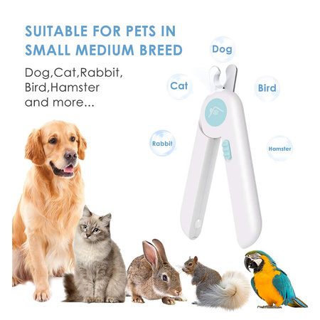 Obcinacz do pazurów dla psów kotów pupili z lampką LED - Niebiesko-Zielony