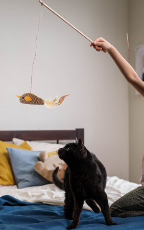 Zabawka Interaktywna Wędka Dla Kota Mysz Duża Brązowa 40cm