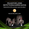 Purina Pro Plan Veterinary Diets Canine HA Hypoallergenic Sucha Karma Dla Psa 3kg