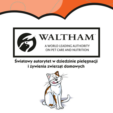 Dreamies z Pysznym Kurczakiem 60g Przysmaki dla kota