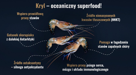 John Dog BERRY MAŁE / ŚREDNIE RASY wołowina z krylem 4x 3kg sucha karma dla psa