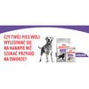 Royal Canin Sterilised Karma Sucha Maxi Dla Psów Dorosłych Ras Dużych 12kg + Mokra 12x85g