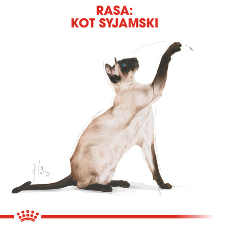 Royal Canin FBN Siamese Adult 400g Karma Sucha Dla Kotów Dorosłych Rasy Syjamskiej