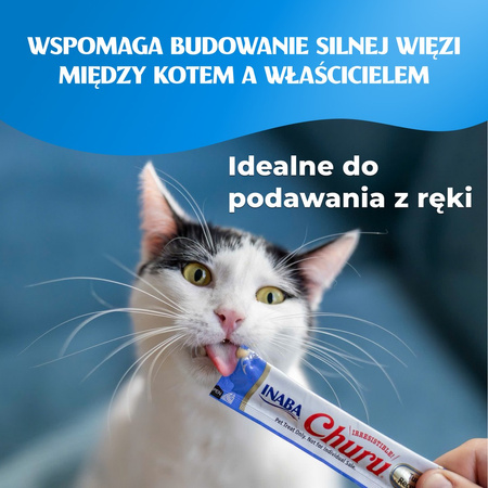 Inaba Cat Churu 80x14g (1120g) Kremowy Przysmak Dla Kota Pasta Mix z Kurczakiem