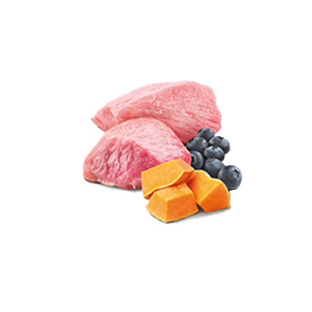 Farmina N&D Dog Lamb Pumpkin Blueberry Puppy 24x140g Mokra Karma Dla Szczeniąt Jagnięcina Dynia i Borówka