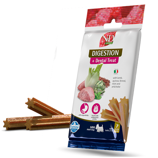 dental treat Digestion mini