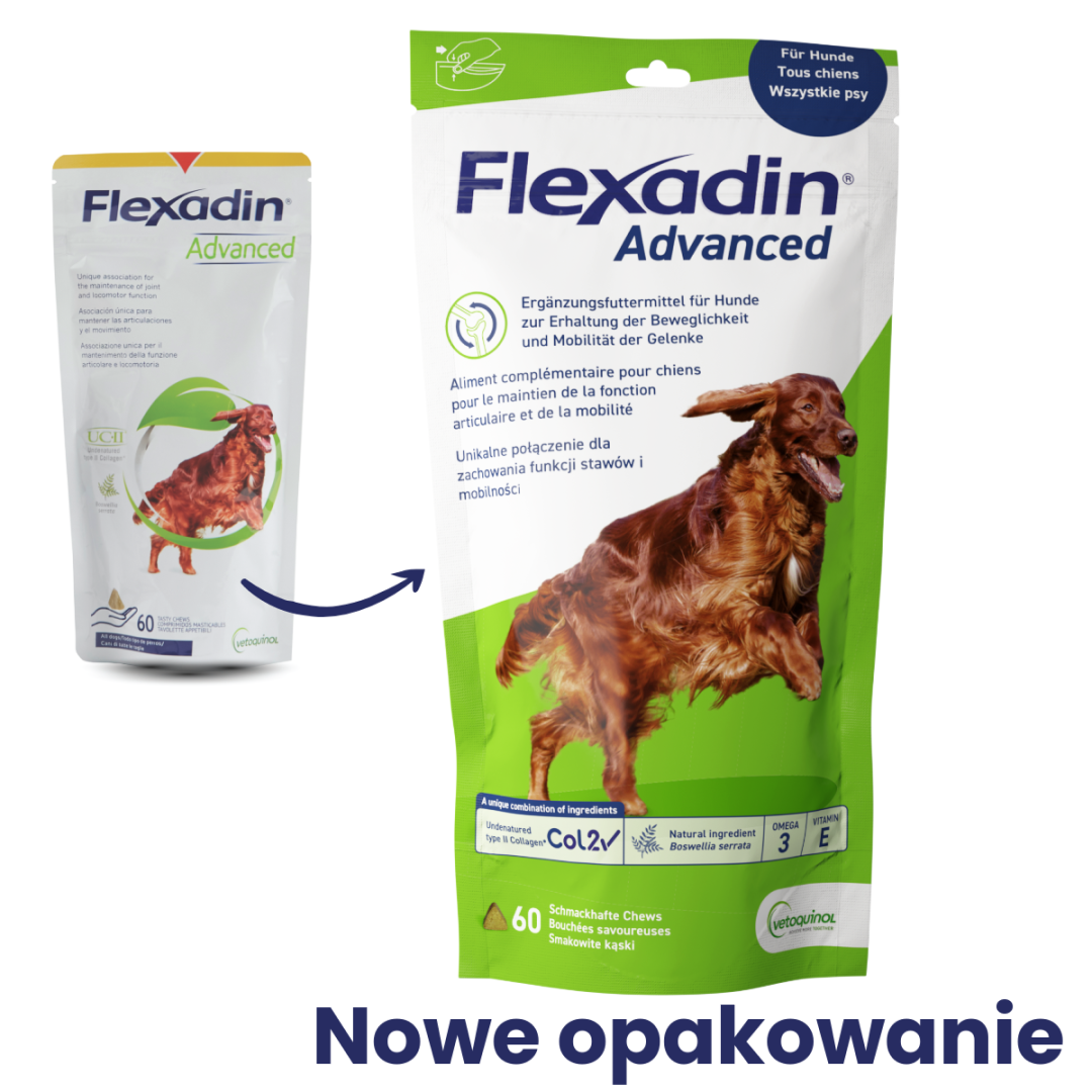Flexadin advanced suplement na stawy dla psów.