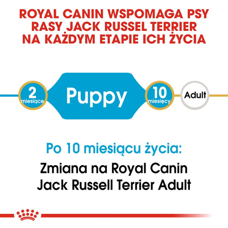 Royal Canin BHN Jack Russell Terrier Puppy 3kg Karma Sucha Dla Szczeniąt Do 10 Miesiąca Rasy Jack Russel Terrier