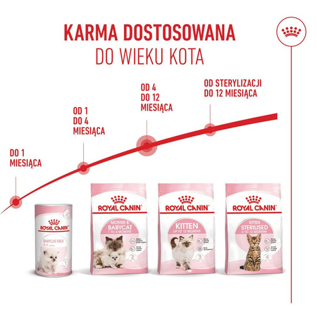 Royal Canin FHN Kitten 2kg Karma Sucha Dla Kociąt Od 4 Do 12 Miesiąca Życia