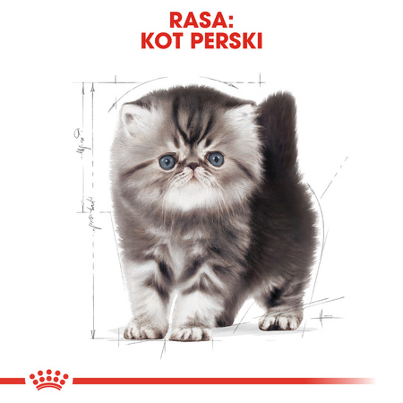 Royal Canin FBN Persian Kitten 400g Karma Sucha Dla Kociąt Do 12 Miesiąca Życia Rasy Pers