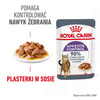 Royal Canin Appetite Control Care Karma Mokra W Sosie Dla Kotów Domagających Się Jedzenia 24x85g