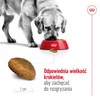 Royal Canin Adult Maxi BF 4kg Zbilansowana Sucha Karma Dla Psów Dużych Ras Do 5 Roku Życia