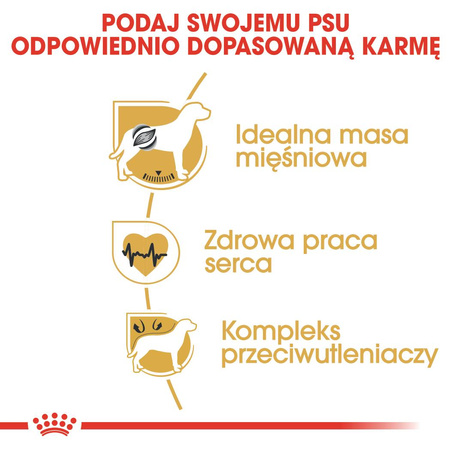 Royal Canin BHN Boxer Adult 12kg Karma Sucha Dla Psów Dorosłych Rasy Bokser